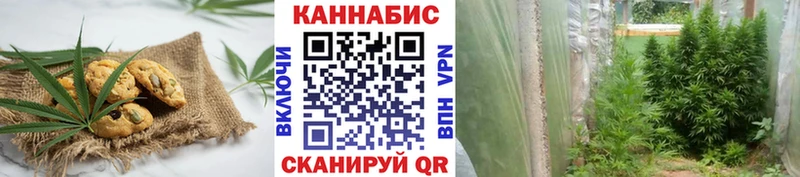 Canna-Cookies марихуана  Купить  Саров 