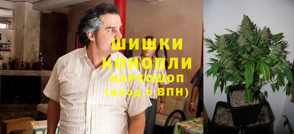 шишки Волоколамск