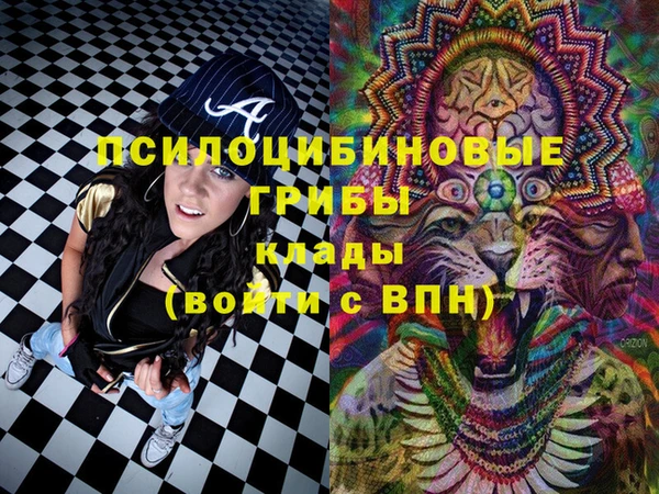 шишки Волоколамск