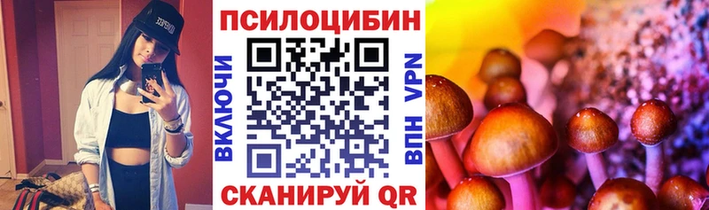 Купить Саров Псилоцибиновые грибы Psilocybine cubensis